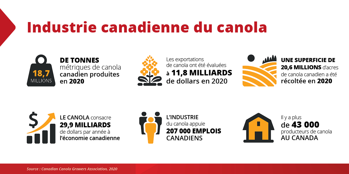 Industrie canadienne du canola