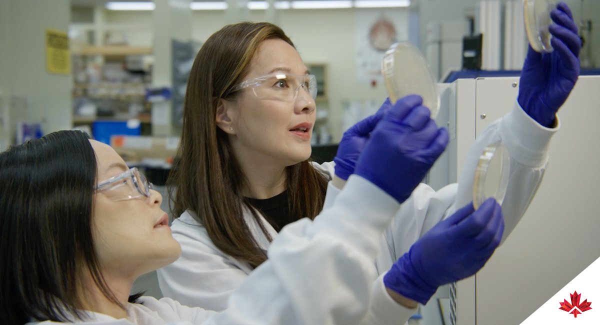 Deux scientifiques en blouse et portant des équipements de sécurité travaillent dans le laboratoire de recherche ultramoderne d’Amgen à Burnaby. 