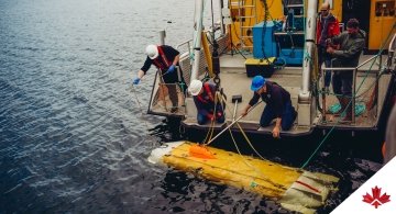 workers on boat