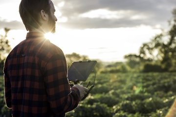 Homme utilisant une télécommande de drone avec une tablette numérique au coucher du soleil, dans un champ.