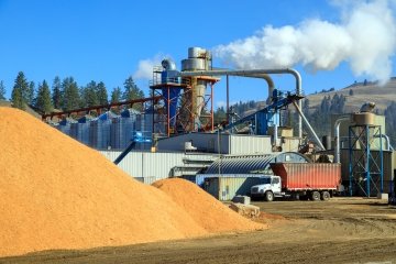 Tas de copeaux de bois destinés à la production de granules de bois, sous-produit de l’industrie forestière et ressource renouvelable.